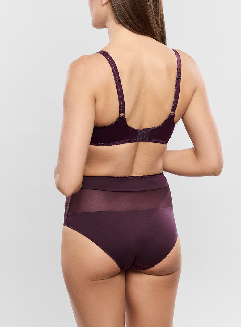 Empreinte Tess High Waist Briefs