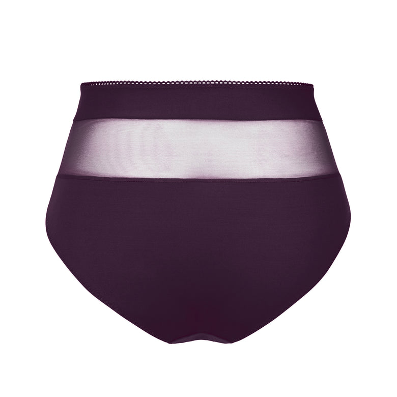 Empreinte Tess High Waist Briefs