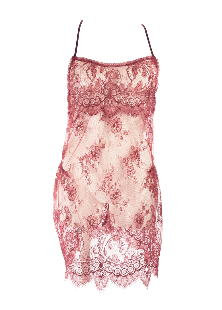 Shell Belle Couture Florentine Lace Slip and Briefs