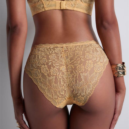 Aubade Rosessence Lace Brief