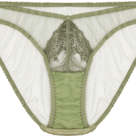 Fleur of England Arianna Briefs