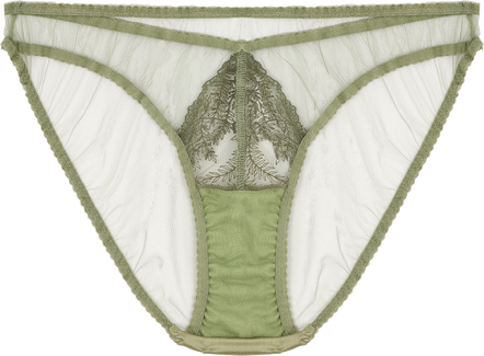 Fleur of England Arianna Briefs