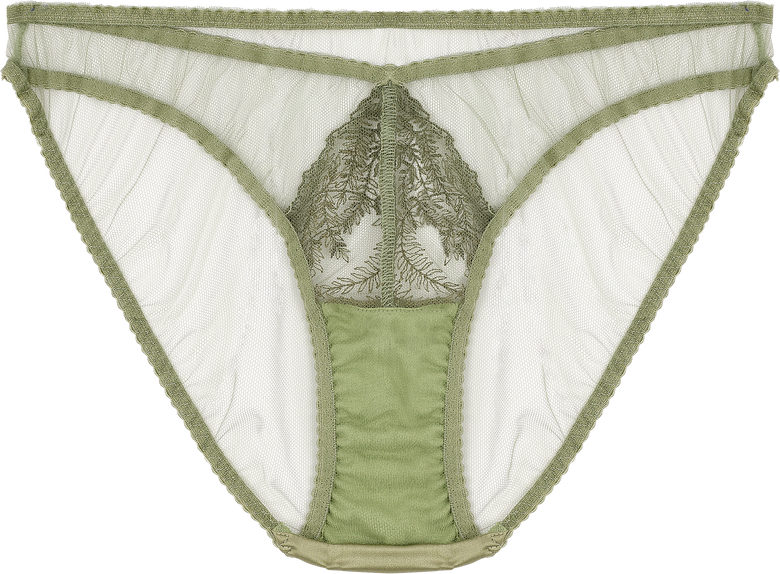 Fleur of England Arianna Briefs