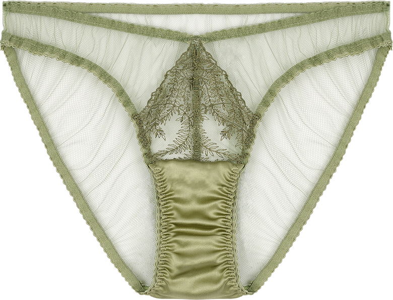 Fleur of England Arianna Briefs