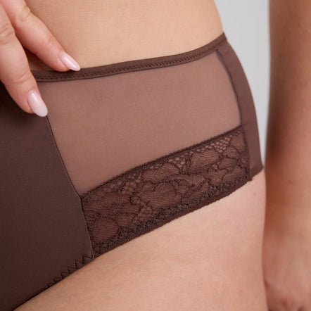 Close-up of a model wearing brown high-waisted underwear with sheer mesh panels and a lace band.