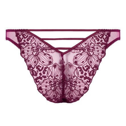 Fleur of England Viola Briefs
