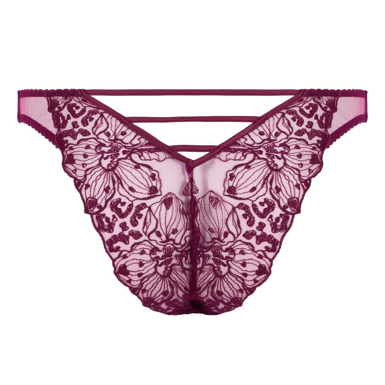 Fleur of England Viola Briefs