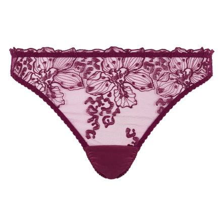 Fleur of England Viola Briefs