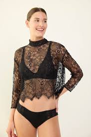 Maison Lejaby Silk and Lace Briefs