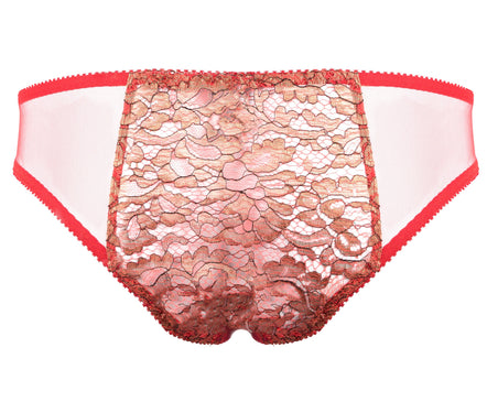 Pure Chemistry Bridal Rani Briefs - PRE ORDER –