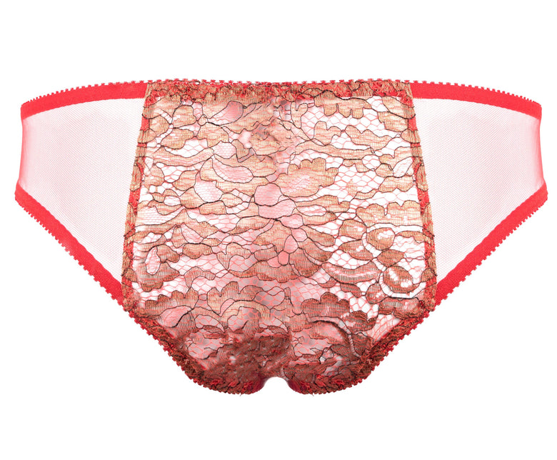 Pure Chemistry Bridal Rani Briefs - PRE ORDER –