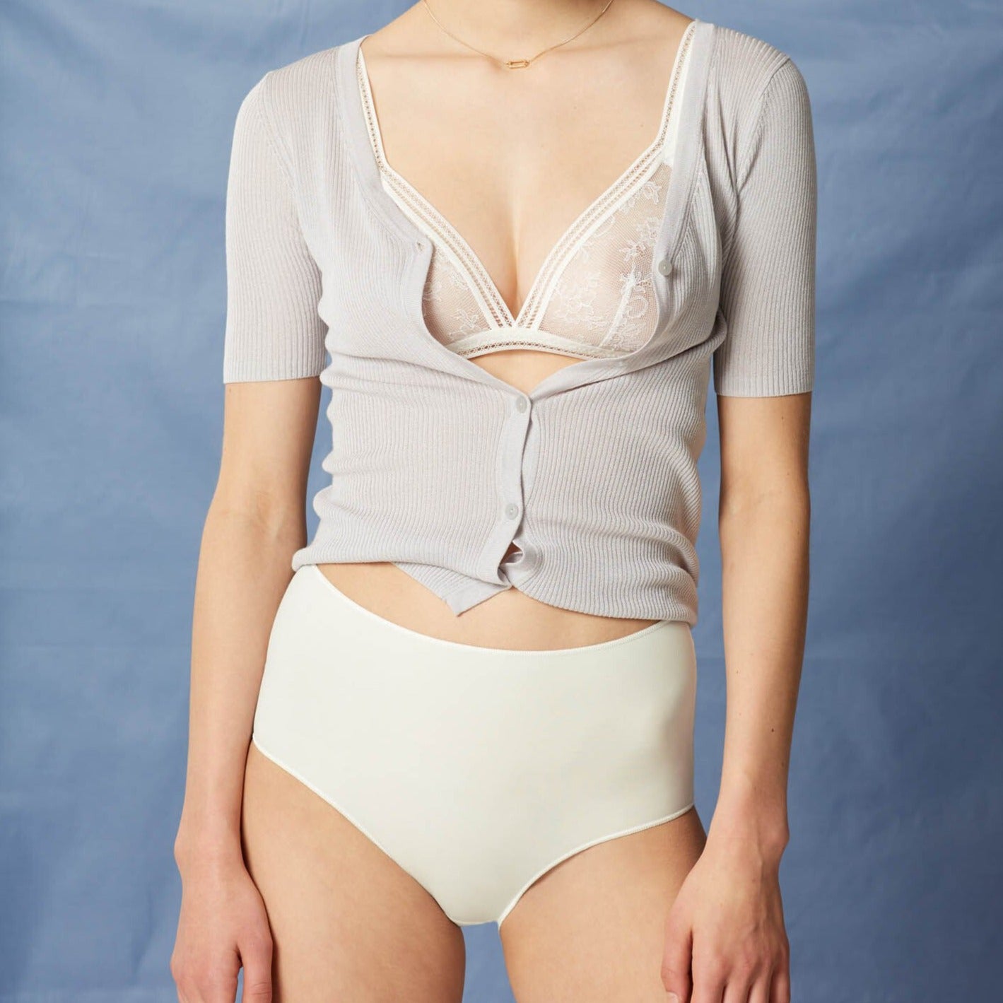 Maison Lejaby Invisibles High Briefs